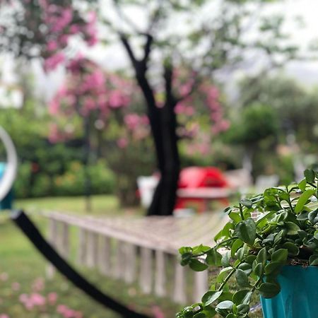 Cirali Marina Loft Apartment Bagian luar foto