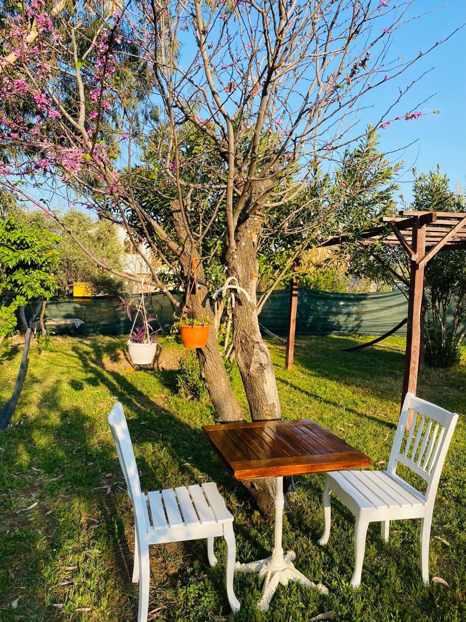 Cirali Marina Loft Apartment Bagian luar foto